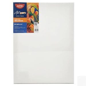 cuadro-de-lienzo-canva-para-pintar-12-x-16-pointer