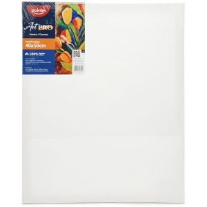 cuadro-de-lienzo-canva-para-pintar-16-x-20-pointer-artpro