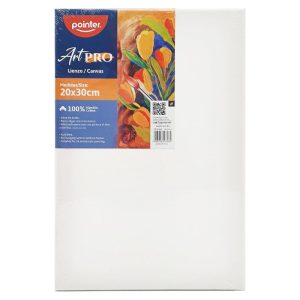 cuadro-de-lienzo-canva-para-pintar-8-x-12-pointer-artpro